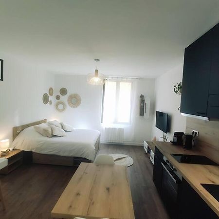 Annecy Vieille Ville, Superbe Appartement Au Calme Exteriör bild