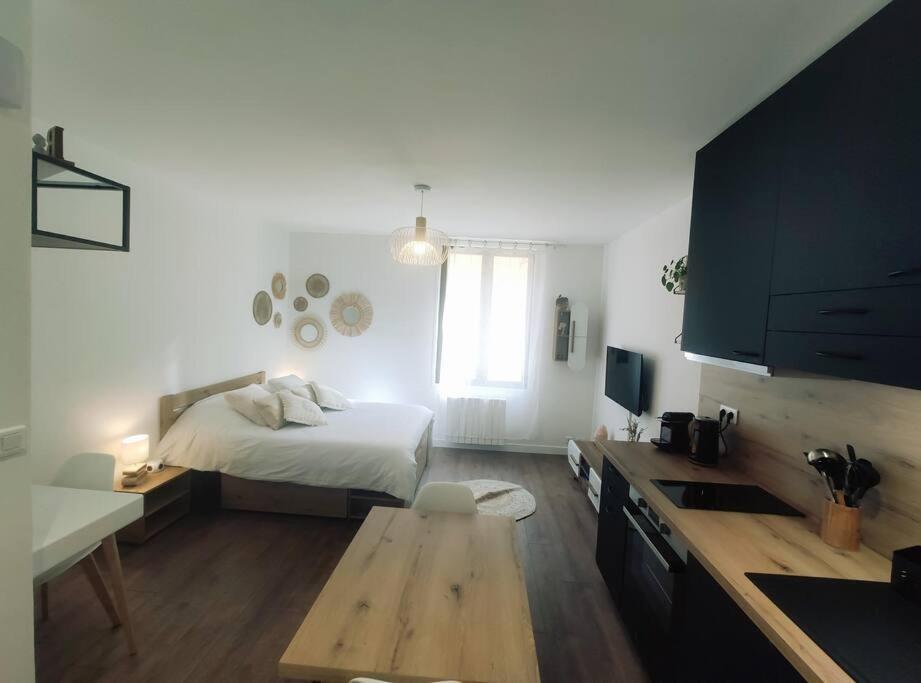 Annecy Vieille Ville, Superbe Appartement Au Calme Exteriör bild